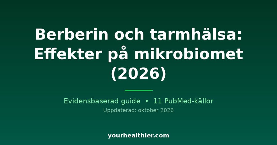 Berberin och tarmhälsa: Effekter på mikrobiomet (2026)